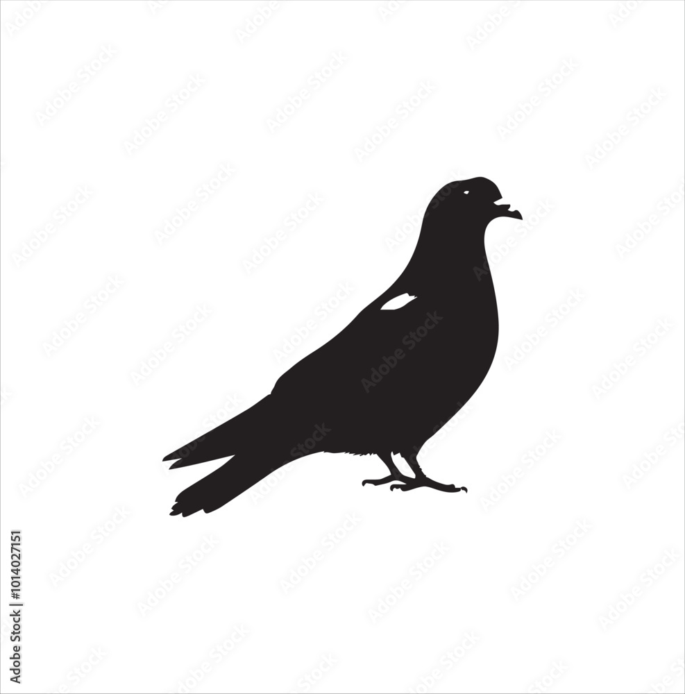 Fototapeta premium pigeon isolated on white background, bird, silhouette, eagle, vector, flying, animal, illustration, wing, nature, black, birds, dove, feather, wings, tattoo, fly, hawk, design, wildlife, flight, freed