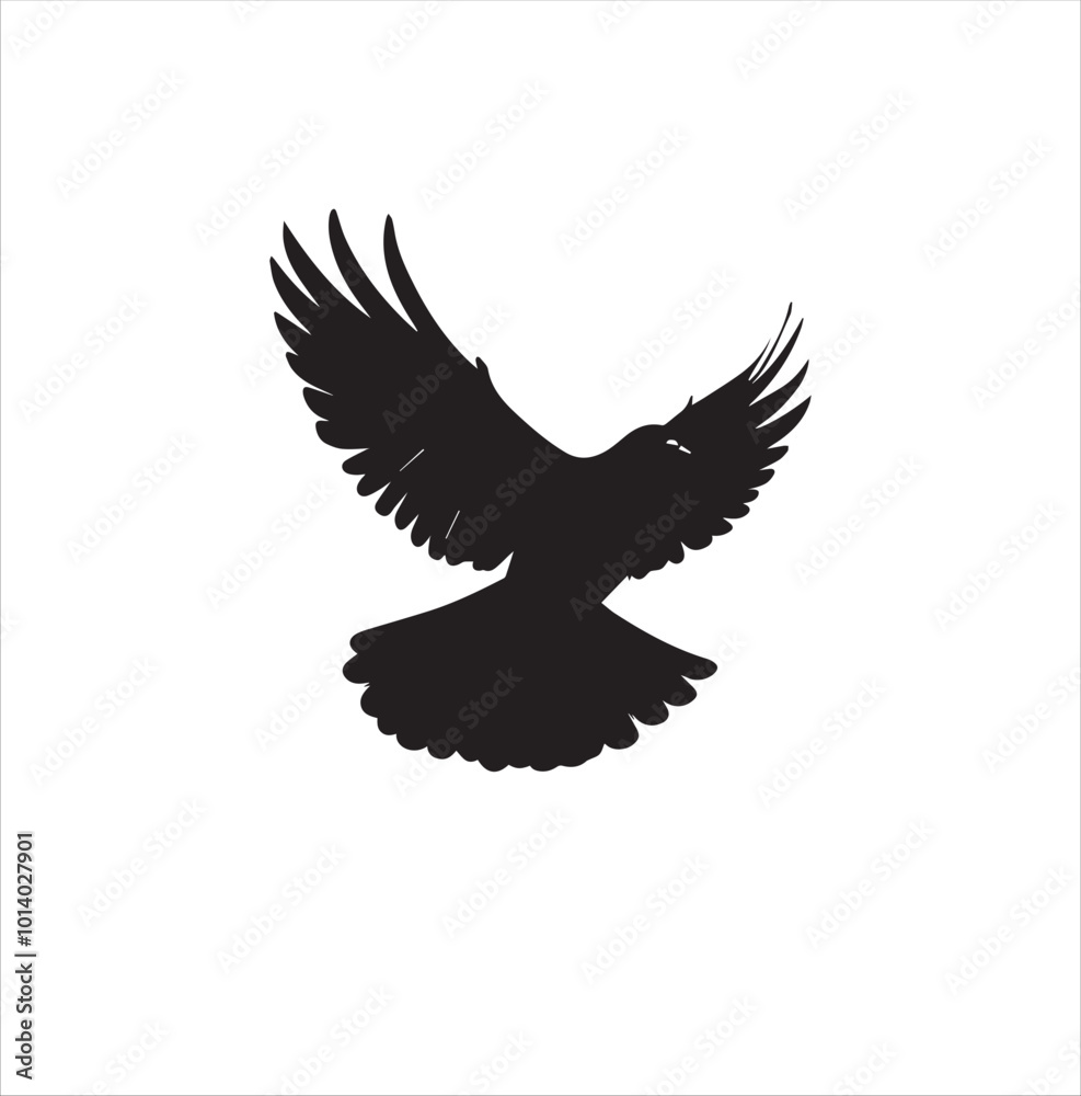 pigeon isolated on white background, bird, silhouette, eagle, vector, flying, animal, illustration, wing, nature, black, birds, dove, feather, wings, tattoo, fly, hawk, design, wildlife, flight, freed pigeon isolated on white background, bird, silhouette, eagle, vector, flying, animal, illustration, wing, nature, black, birds, dove, feather, wings, tattoo, fly, hawk, design, wildlife, flight, freed