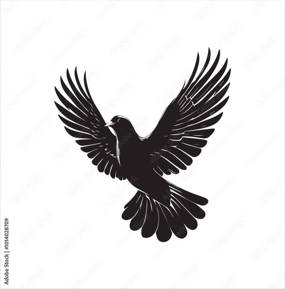 Obraz premium pigeon isolated on white background