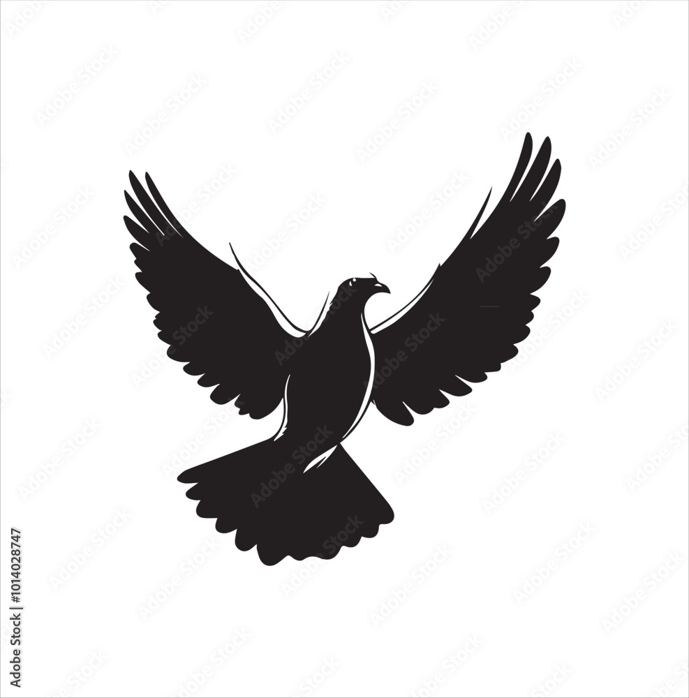 Obraz premium pigeon isolated on white background