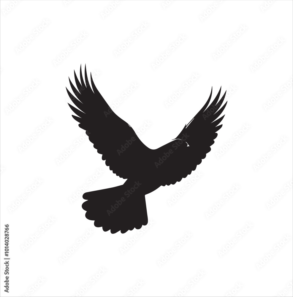 pigeon isolated on white background, bird, silhouette, eagle, vector, flying, animal, illustration, wing, nature, black, birds, dove, feather, wings, tattoo, fly, hawk, design, wildlife, flight, freed pigeon isolated on white background, bird, silhouette, eagle, vector, flying, animal, illustration, wing, nature, black, birds, dove, feather, wings, tattoo, fly, hawk, design, wildlife, flight, freed