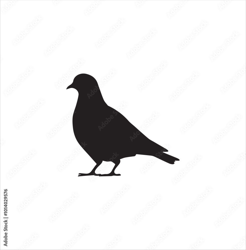 pigeon isolated on white background, bird, silhouette, eagle, vector, flying, animal, illustration, wing, nature, black, birds, dove, feather, wings, tattoo, fly, hawk, design,Art & Illustration pigeon isolated on white background, bird, silhouette, eagle, vector, flying, animal, illustration, wing, nature, black, birds, dove, feather, wings, tattoo, fly, hawk, design,Art & Illustration