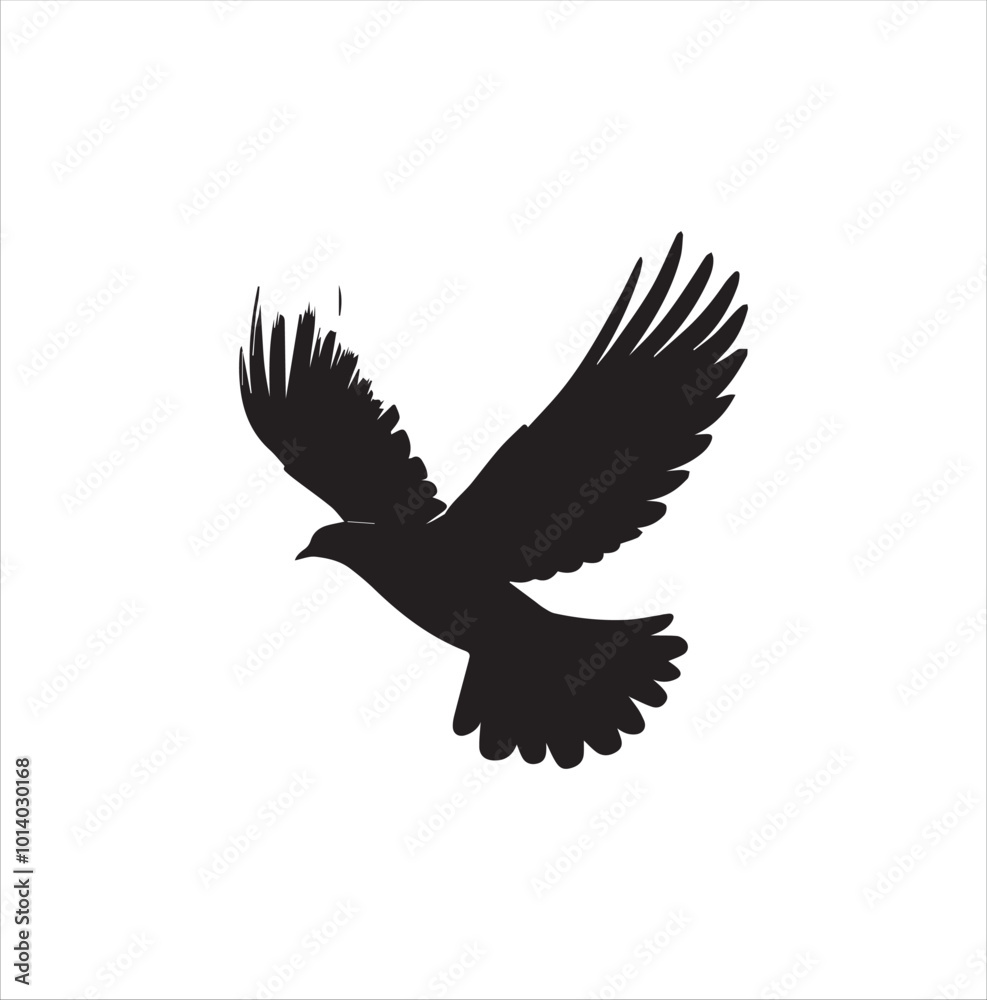 Obraz premium pigeon isolated on white background