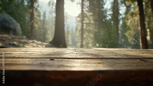 Wallpaper Mural A wooden table with a view of trees and a sun shining on it Torontodigital.ca