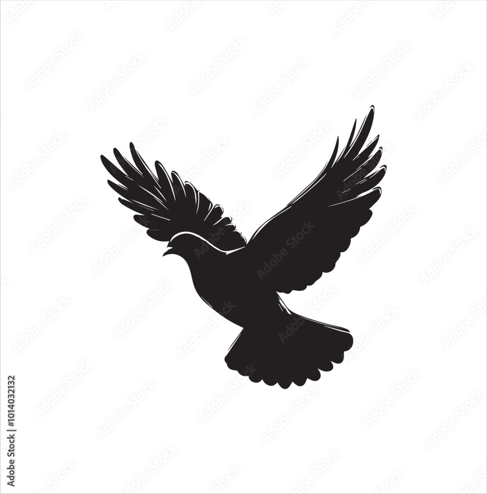 Obraz premium pigeon isolated on white background