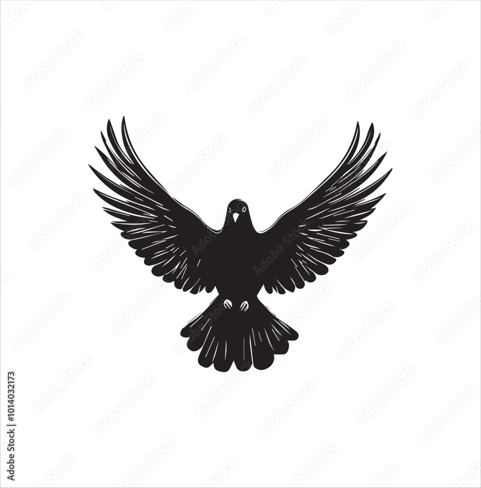 Obraz premium pigeon isolated on white background