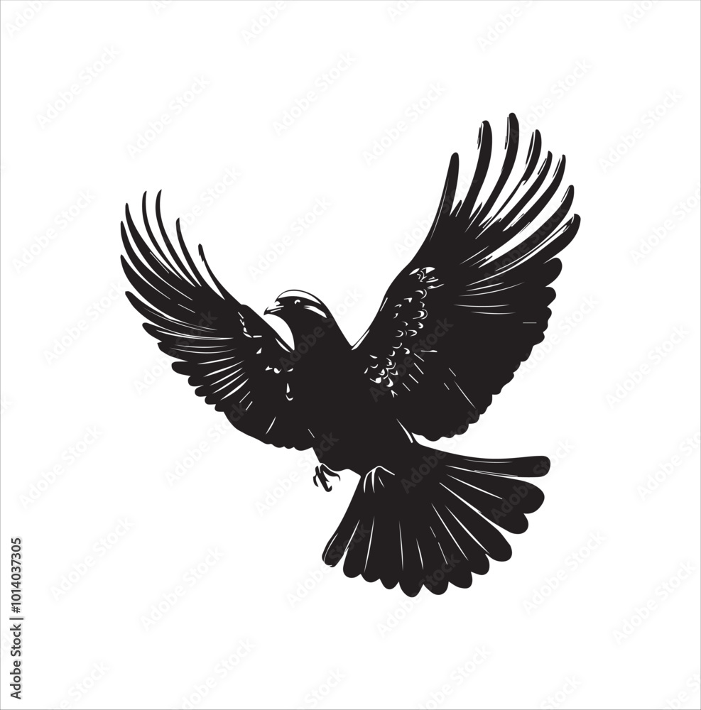 Fototapeta premium pigeon isolated on white background, bird, silhouette, eagle, vector, flying, animal, illustration, wing, nature, black, birds, dove, feather, wings, tattoo, fly, hawk, design,Art & Illustration