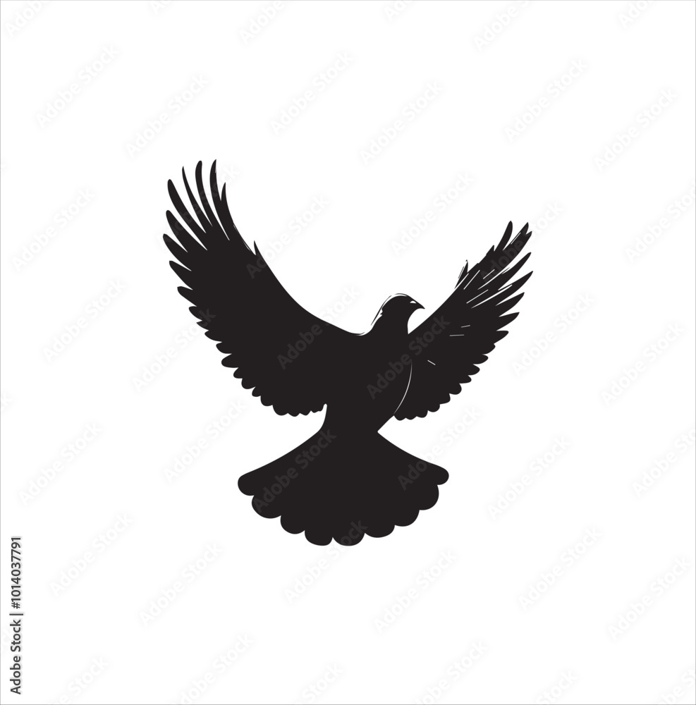 Obraz premium pigeon isolated on white background, bird, silhouette, eagle, vector, flying, animal, illustration, wing, nature, black, birds, dove, feather, wings, tattoo, fly, hawk, design,Art & Illustration