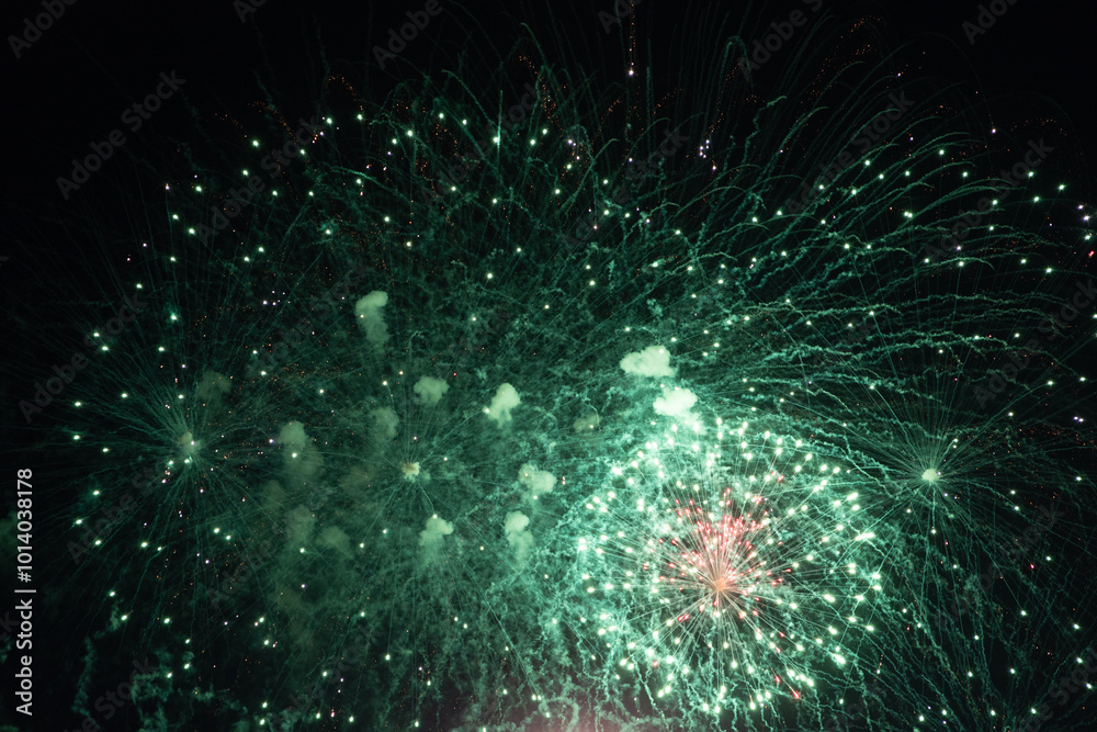 Fototapeta premium Fireworks on the dark sky background at festival.