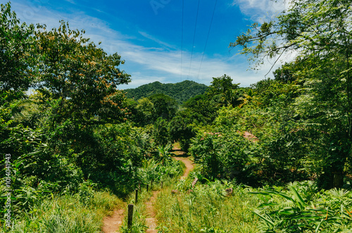 Serrania del Darien, Sapzurro, Zapzurro, Gulf of Uraba, Choco, Acandi, Colombia photo