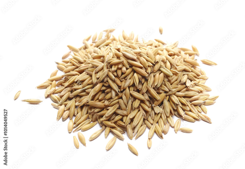 Pile unpeeled oat grains isolated on white Pile unpeeled oat grains isolated on white