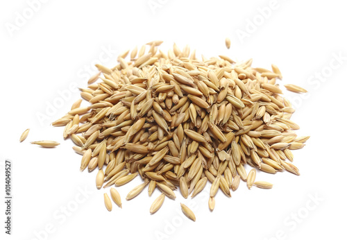 Pile unpeeled oat grains isolated on white