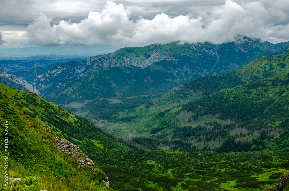 Obraz premium landscape in the mountains