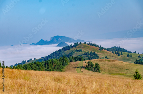 Fototapeta Naklejka Na Ścianę i Meble -  Mountain Peaks Above the Clouds at Dawn