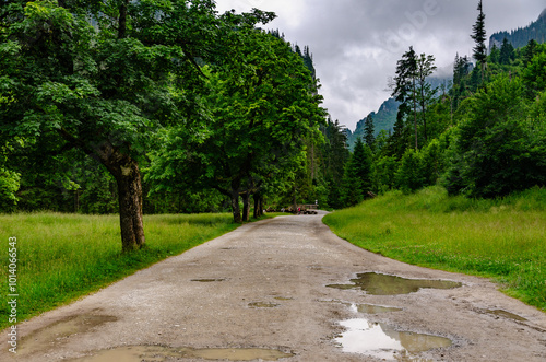 path in the park