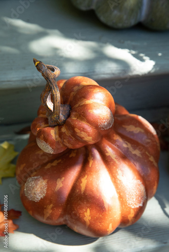 Detail Shot 4: Pumpkins Lining House Steps