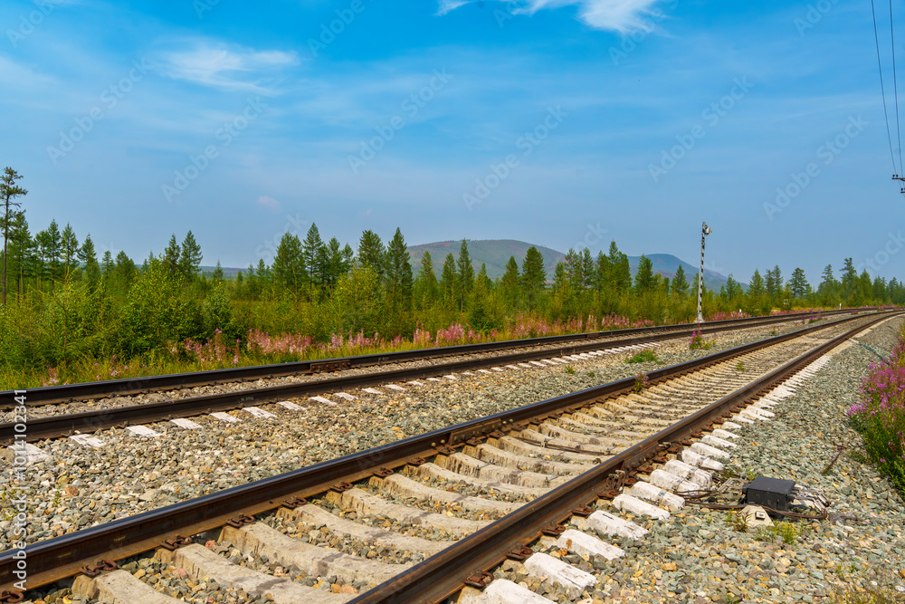 Fototapeta premium Railroad tracks in rural landscape with forest and distant mountains