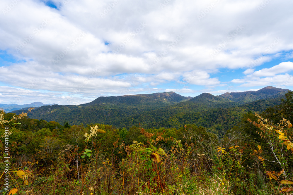 Obraz premium 北海道の道路の風景 羊蹄山方面