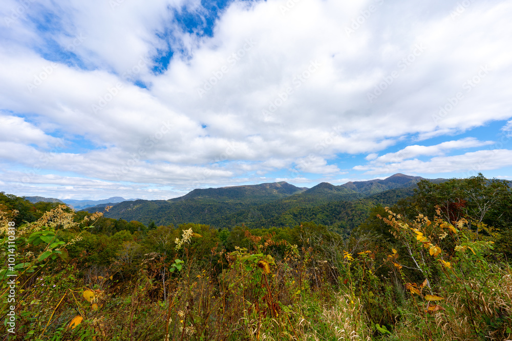 Fototapeta premium 北海道の道路の風景 羊蹄山方面