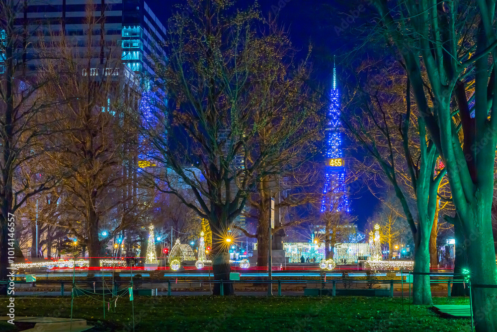 Fototapeta premium 札幌テレビ塔 