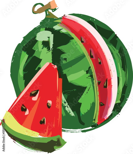vector illustration of the two slices of watermelon isolated on a white background