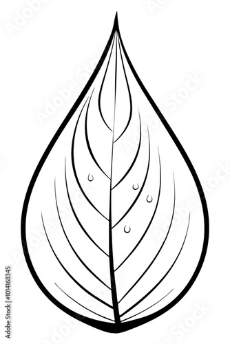 illustration of a silhouette of a leaf