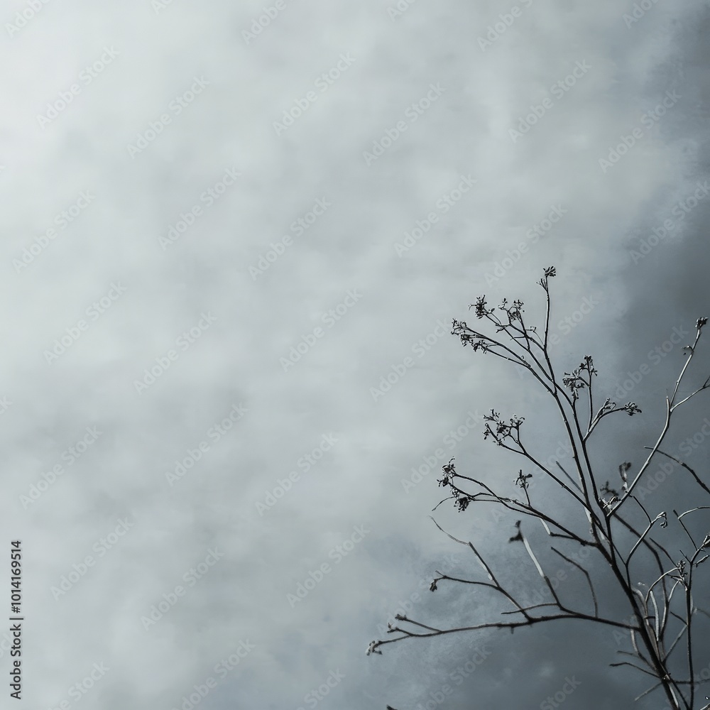Simple motivational quote over a soft gray background with subtle textures, ideal for a clean and elegant Facebook background. Simple motivational quote over a soft gray background with subtle textures, ideal for a clean and elegant Facebook background.
