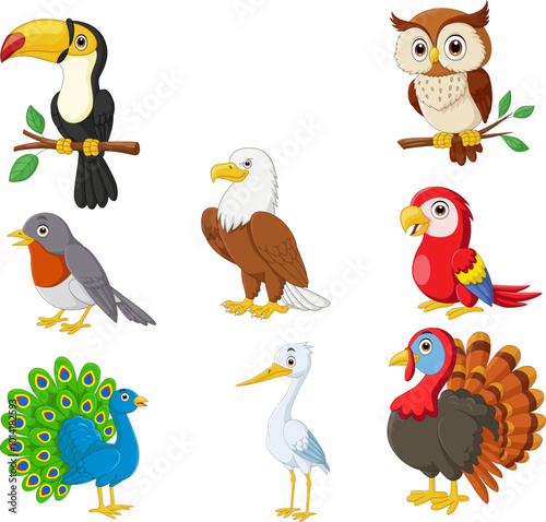 Illustration of cartoon bird collection set