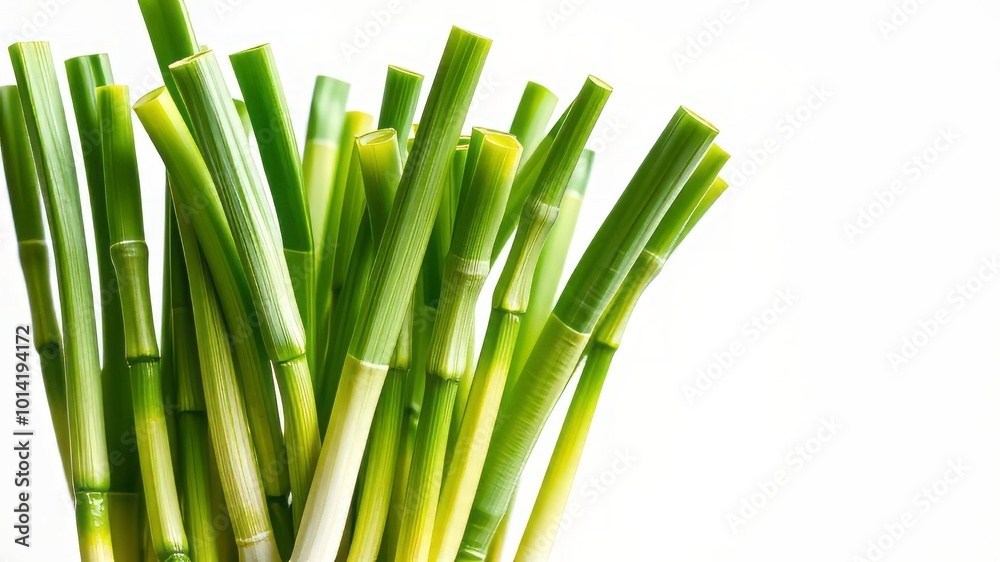 Fototapeta premium A cluster of crisp, emerald green scallions stands tall on a pristine white background, their delicate white and