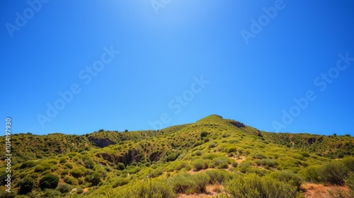 A rugged hillside terrain is blanketed with lush green vegetation, set against a brilliant blue sky, in the