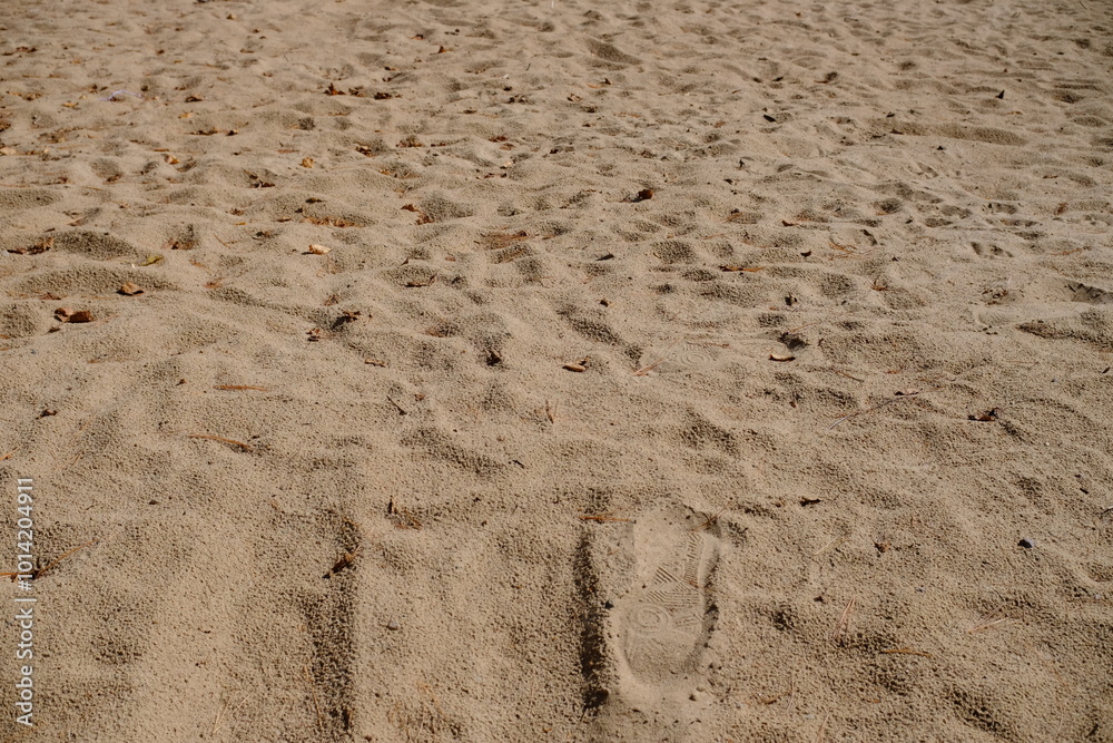 footprints and markings on the beach footprints and markings on the beach