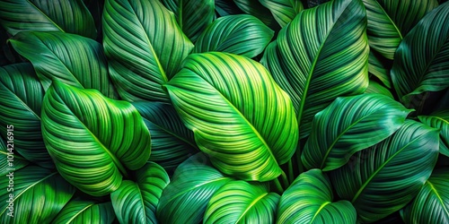 A lush arrangement of vibrant green leaves with intricate patterns and textures, showcasing nature's elegant beauty.