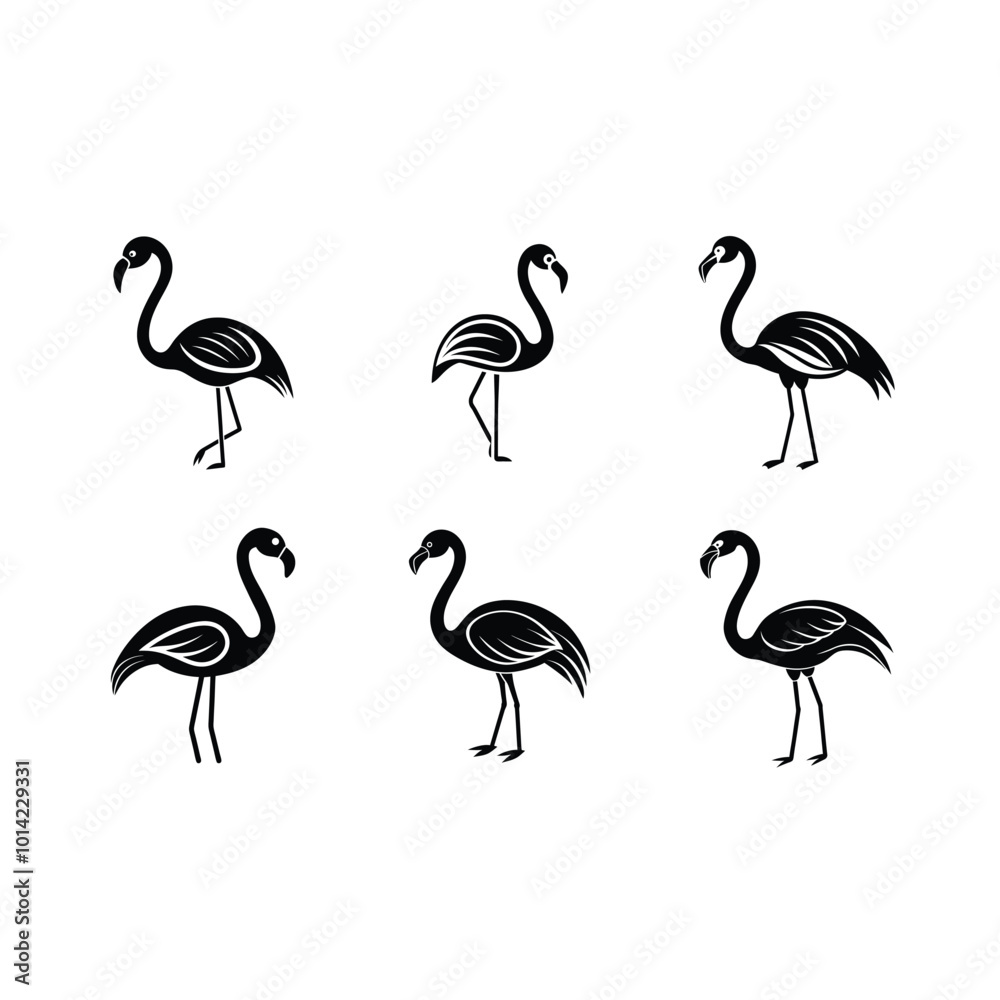 Obraz premium Flamingo on white background,Instant Digital Download. Illustration for prints on t-shirt and bags, posters 