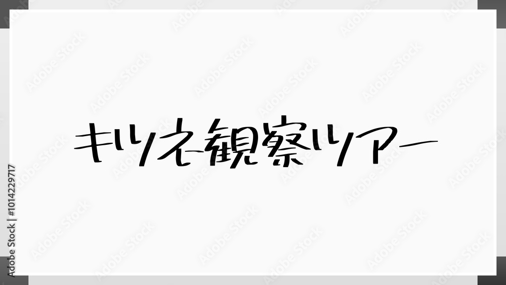 キツネ観察ツアー ホワイトボード風イラスト キツネ観察ツアー ホワイトボード風イラスト