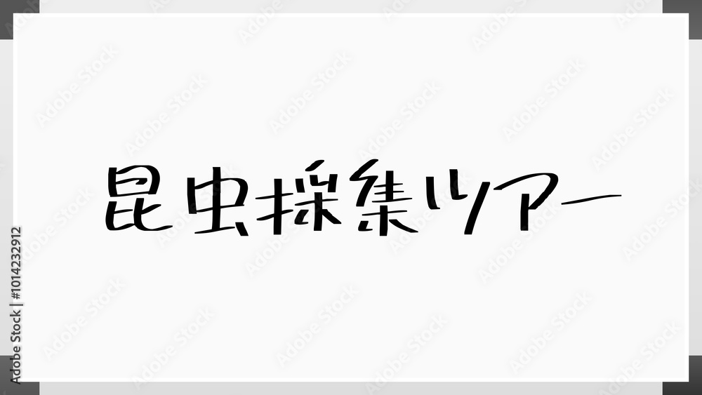 昆虫採集ツアー ホワイトボード風イラスト 昆虫採集ツアー ホワイトボード風イラスト