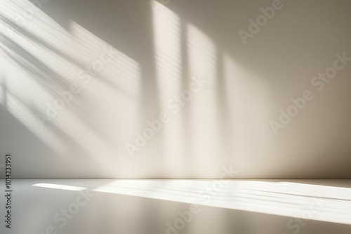 A modern, plain white background with warm, afternoon sunrays