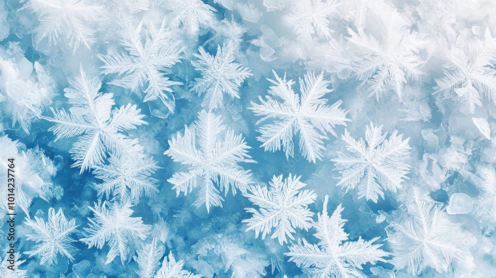 Beautiful arrangement of frosty snowflakes against a soft blue background, capturing the essence of winter's beauty and tranquility for your projects Beautiful arrangement of frosty snowflakes against a soft blue background, capturing the essence of winter's beauty and tranquility for your projects
