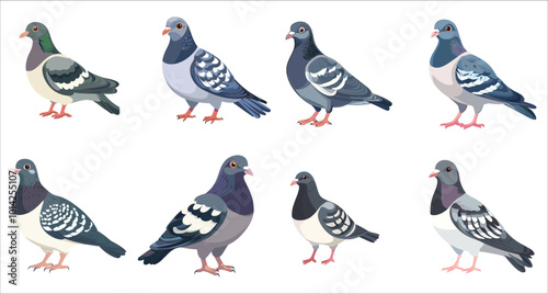 Pigeon bird vector set. Flying pigeon vectors. Colorful pigeon vector illustrations. Set of realistic pigeon bird vector. Nature inspired pigeon vectors photo