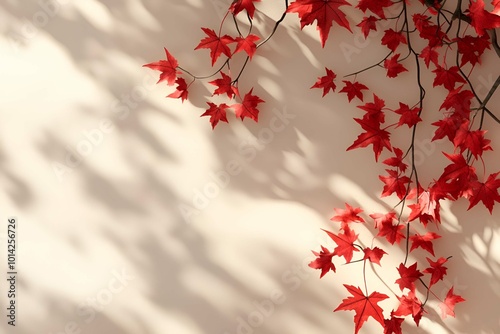 autumn background image photo