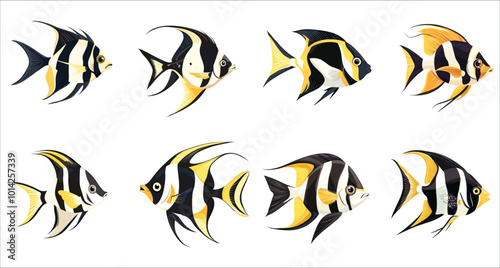 Moorish Idol Fish Vector Set. Tropical Moorish Idol Fish Illustrations. Colorful Moorish Idol Fish Collection