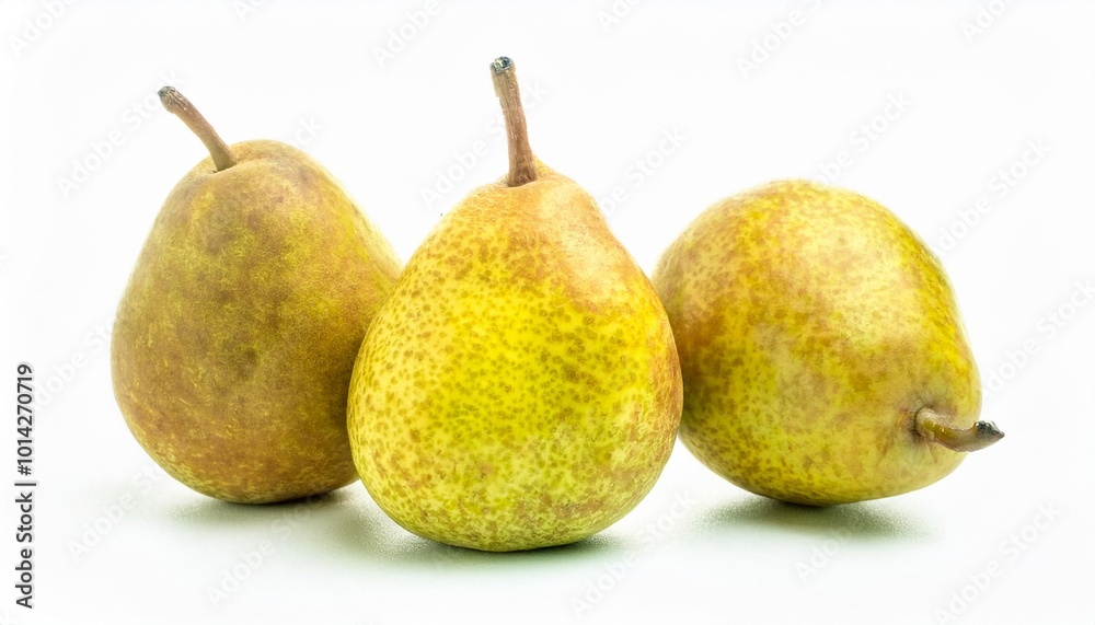 Pear on white background. Pear Fruit Isolated. Pear on white background. Pear Fruit Isolated.