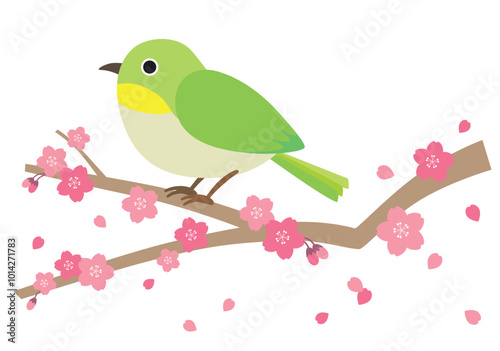 桜の枝にとまるメジロのイラスト
