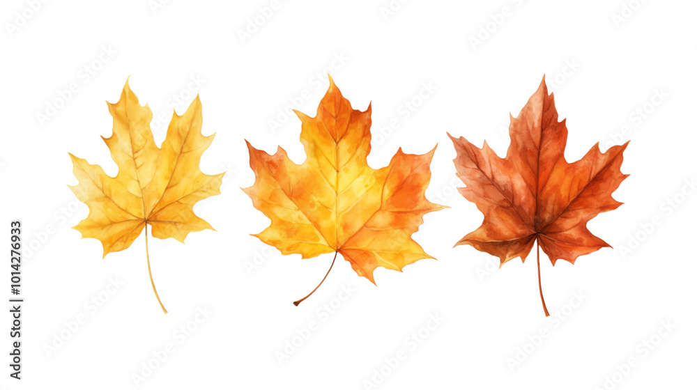 Autumn leaf branches are painted in watercolor. Ideal for fall themed designs, seasonal greeting cards, stationery, wedding invitations, and botanical illustrations. Generative AI Autumn leaf branches are painted in watercolor. Ideal for fall themed designs, seasonal greeting cards, stationery, wedding invitations, and botanical illustrations. Generative AI