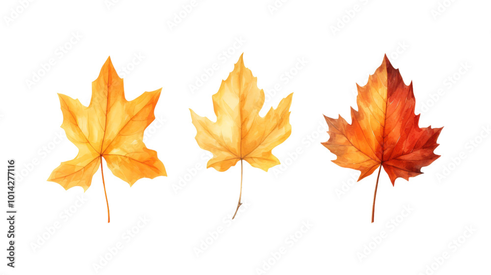 Autumn leaf branches are painted in watercolor. Ideal for fall themed designs, seasonal greeting cards, stationery, wedding invitations, and botanical illustrations. Generative AI Autumn leaf branches are painted in watercolor. Ideal for fall themed designs, seasonal greeting cards, stationery, wedding invitations, and botanical illustrations. Generative AI