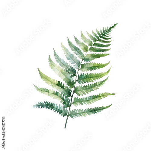 Fern frond with green leaves on a white background. Ideal for nature themed designs, botanical illustrations, or environmental concepts. Generative AI