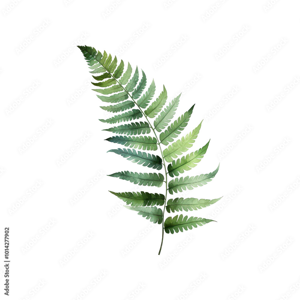 Fern frond with green leaves on a white background. Ideal for nature themed designs, botanical illustrations, or environmental concepts. Generative AI Fern frond with green leaves on a white background. Ideal for nature themed designs, botanical illustrations, or environmental concepts. Generative AI