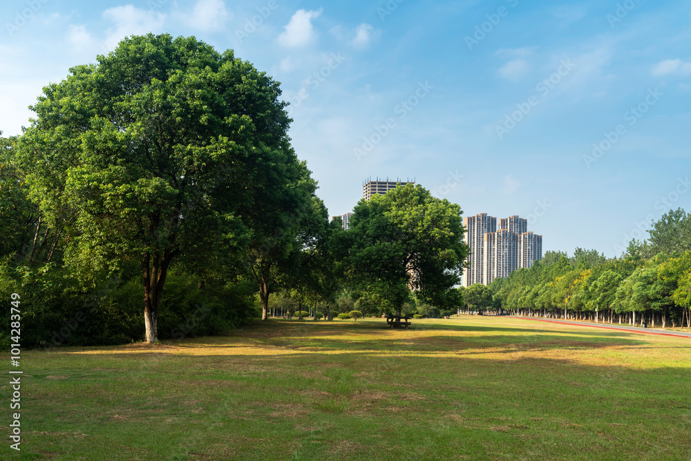 Fototapeta premium spring park and modern city