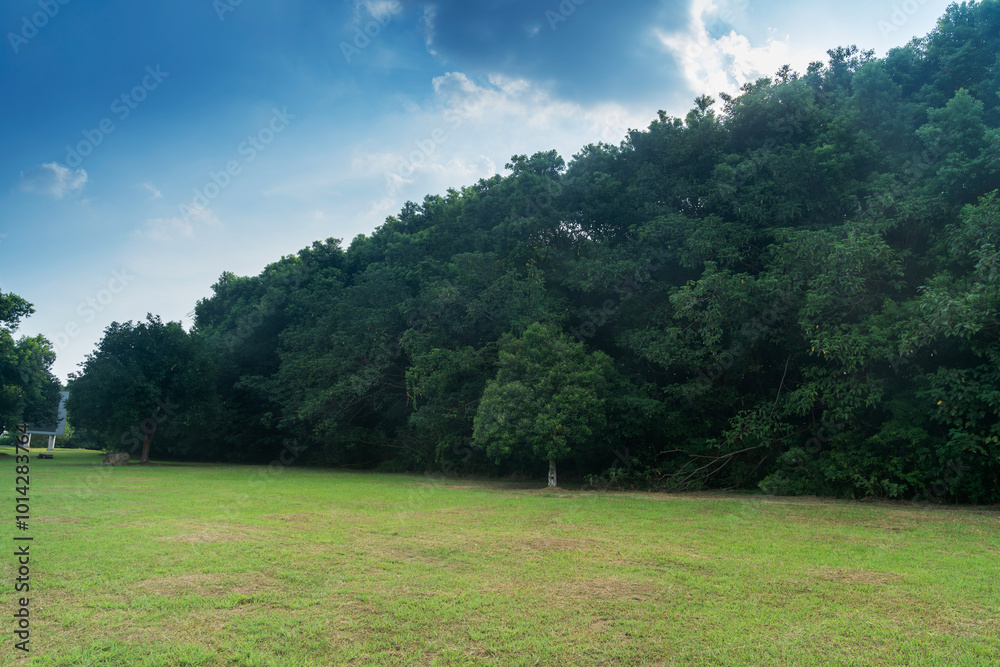 Obraz premium Beautiful panorama of green city park