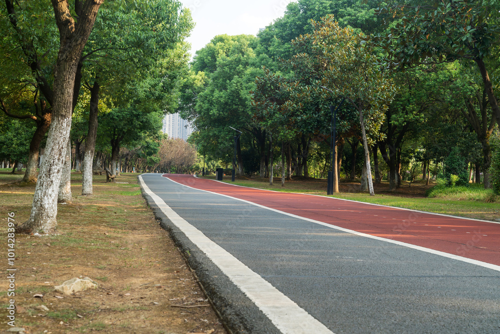 New pathway and beautiful trees track for running or walking and cycling relax in the park New pathway and beautiful trees track for running or walking and cycling relax in the park