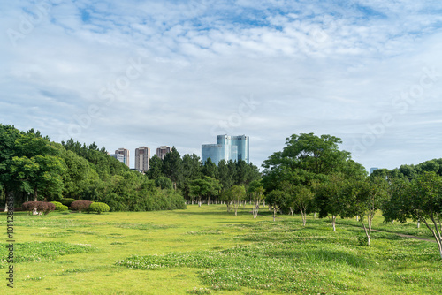 spring park and modern city
